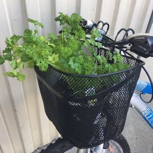 Meet your Posher, Sabrina